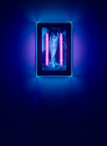 Ultraviolet Angel by Mat Collishaw