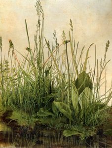Whispering Weeds by Mat Collishaw