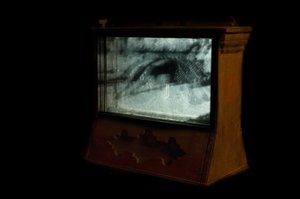 Wormery, 2009 by Mat Collishaw