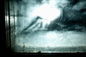 Wormery, 2009 by Mat Collishaw
