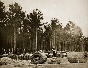 Making Gabions in Front of Petersburg, 1861-65