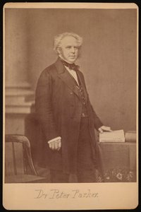 Portrait of Peter Parker by Mathew Brady