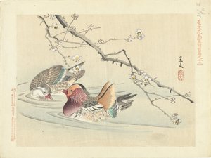Two Ducks (Flower and Bird Sketches by Keibun - Part One) by Matsumura Keibun