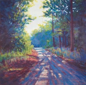 Sunlit Country Road