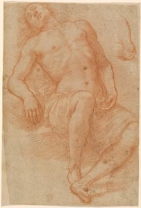 A Male Nude, Half Reclining by Matteo Rosselli