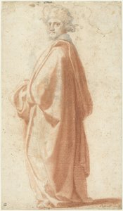 Study of a Model in a Wide Mantle