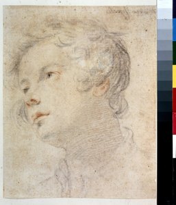 Head of a Boy by Matteo Rosselli