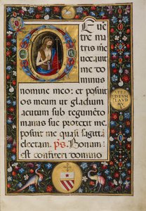 Initial D: Saint John the Baptist by Matteo da Milano