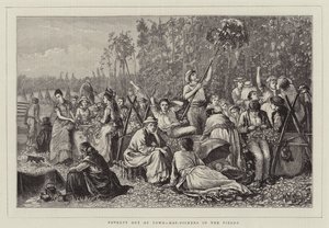 Poverty Out of Town, Hop-Pickers in the Fields
