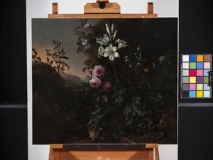 Still Life