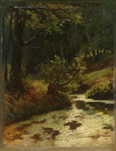 Brook in the Woods near Oosterbeek