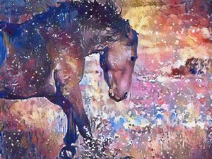 Vibrant Horse Splash by Matthys Moss