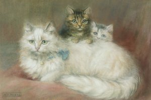 A Persian Cat and Her Kittens