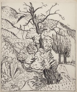 Tree on Mountainside, c.1930