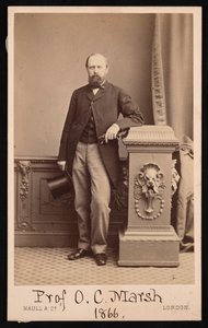 Portrait of Othniel Charles Marsh