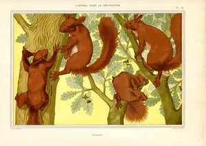 Squirrels in an Oak Tree