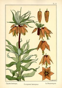The Crown Imperial