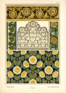 The Sunflower