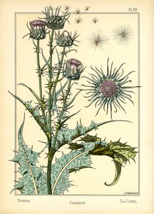 The Thistle