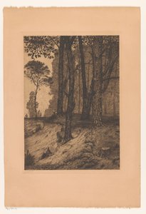 Forest Edge