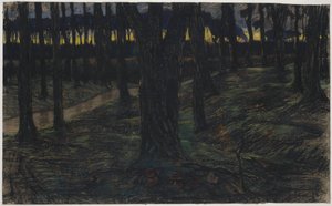 Forest View at Sunset