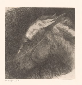Head of a Mule by Maurits van der Valk