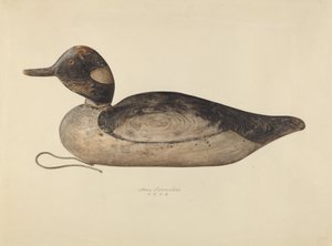 Duck Decoy