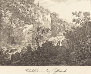 Forest Stream near Teissnach by Max Joseph Wagenbauer