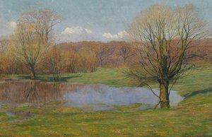 Floodplain Landscape in Early Spring
