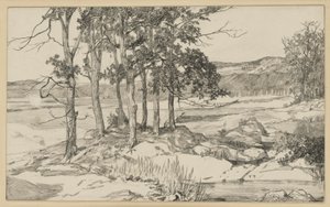 Landscape with Pine Stand and Pond by Max Klinger