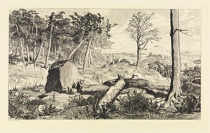 Simplicius in the Forest Wilderness (Intermezzi, Opus IV, Plate 10) by Max Klinger