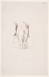 "Path of Defilement" - "Elephant and Sniffing Dog" by Max Klinger