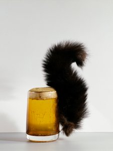 The Squirrel Glass