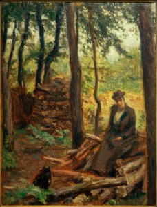Nini on the Woodpile