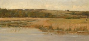 Hill and Marshland, late 19th-early 20th century by Max Weyl