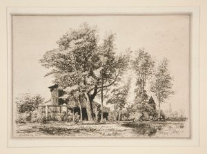Acacia Trees by Maxime Lalanne