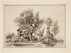 Acacia Trees by Maxime Lalanne