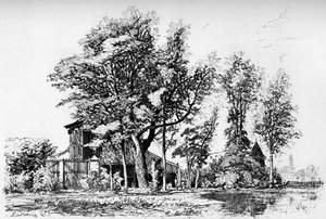 Les Acacias