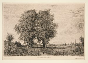 The Elms of Cénon by Maxime Lalanne
