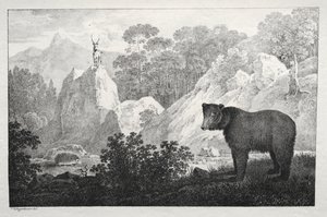 Mountainous Landscape with Bear in the Foreground