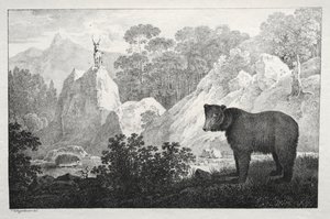 Mountainous Landscape with Bear in the Foreground