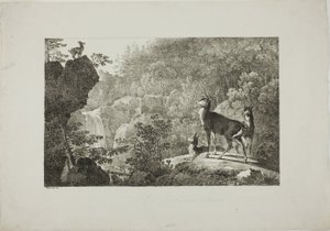 The Stag and the Chamois