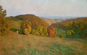 Vienna from Kobenzl by Maximilian Suppantschitsch