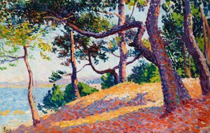Landscape in Saint-Tropez