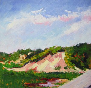 Vibrant Dune Landscape by Maxine Shore