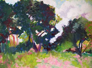 Vibrant Summer Landscape