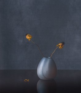 Elegant Dried Flowers by May G