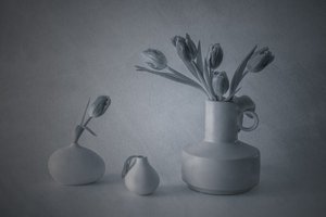 Moody Still Life Tulips by May G