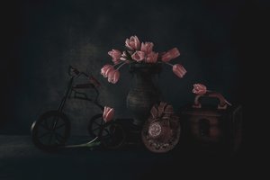 Moody Tulips Still Life by May G