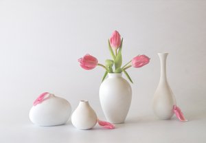 Pink Tulips in Vases by May G